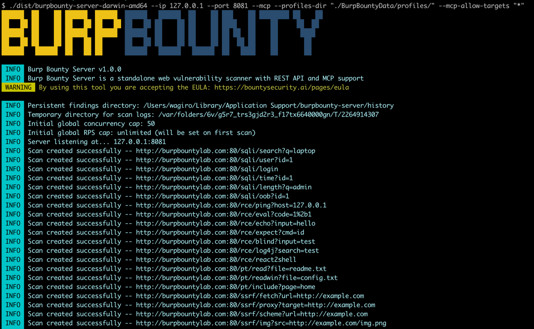 Burp Bounty Server